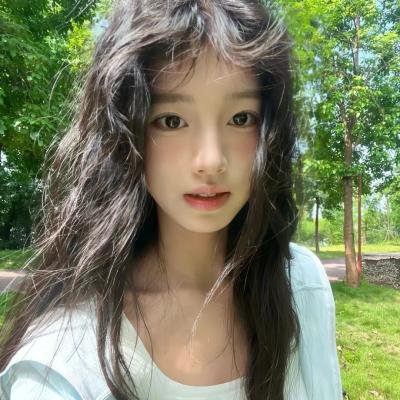 菩提树封面